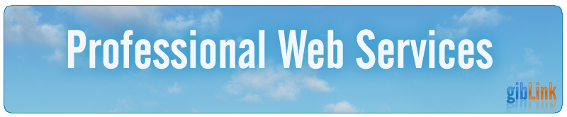 Professional Web Services